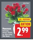 Moosrosen für 2,99 € bei EDEKA im Angebot Moosrosen im aktuellen EDEKA Prospekt