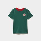 T-shirt maillot de football Maroc coton vert mixte en promo chez La Halle T-shirt maillot de football Maroc coton vert mixte dans le catalogue La Halle