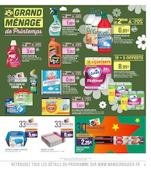 Offre Plumeau dans le catalogue Supermarchés Match du moment à la page 23