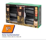 Gartenstecker von Solar im aktuellen Action Prospekt