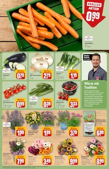 Pfanne im aktuellen REWE Prospekt (Köln) Pfanne im REWE Prospekt "Dein Markt" mit 28 Seiten (Köln)