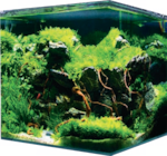 AQUARIUM NANOTANK CUBE SYSTEM 20L - Amtra - Animalis à Hyères AQUARIUM NANOTANK CUBE SYSTEM 20L - Amtra en promo chez Animalis Hyères à 47,99 €