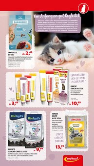 Katzenfutter im Zookauf Prospekt "WEIL EURE TIERE DAS BESTE VERDIENEN" mit 6 Seiten (Neuss)
