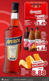 Bier im Kaufland Prospekt in Bad Harzburg Aktueller Kaufland Prospekt mit Bier, "KNÜLLER", Seite 19