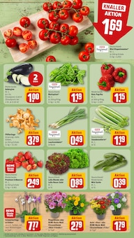 Pfifferlinge im aktuellen REWE Prospekt (Lübeck) Pfifferlinge im REWE Prospekt "Dein Markt" mit 16 Seiten (Lübeck)