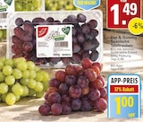 WEZ Rodenberg - Spanische Tafeltrauben Angebot im Prospekt Spanische Tafeltrauben bei WEZ im Rodenberg Prospekt für 1,00 €