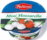 Mini Mozzarella von Fellino im aktuellen Netto mit dem Scottie Prospekt