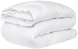 Aktuelles Steppbett 135 x 200 cm Angebot bei Penny in Cottbus ab 24,99 €
