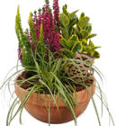 Herbstschale von  im aktuellen Hagebaumarkt Prospekt für 14,99 €