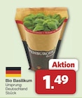 Bio Basilikum für 1,49 € bei famila Nordwest im Angebot Bio Basilikum im aktuellen famila Nordwest Prospekt
