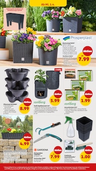 Blumentopf im Penny Prospekt "Wer günstig will, muss Penny." mit 43 Seiten (Heidelberg)