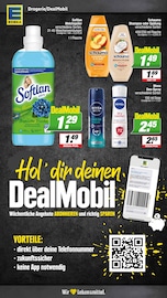 Aktueller EDEKA Prospekt mit Shampoo, "Aktuelle Angebote", Seite 21