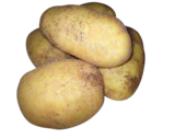 Pomme de terre nouvelle tourbée à Provenc’halles dans Arbin Pomme de terre nouvelle tourbée à Provenc’halles dans Arbin