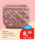 Deko-Schale von Boltze im aktuellen budni Prospekt