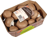 Feinste Bio-Kräuterseitlinge im Angebot bei tegut in Stuttgart Feinste Bio-Kräuterseitlinge Angebote von tegut... bei tegut Stuttgart für 1,79 €