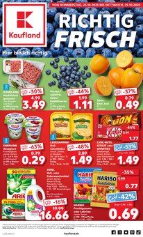 Aktueller Kaufland Prospekt (Thale, 61 Seiten zum blättern Kaufland Prospekt Aktuelle Angebote mit 61 Seiten