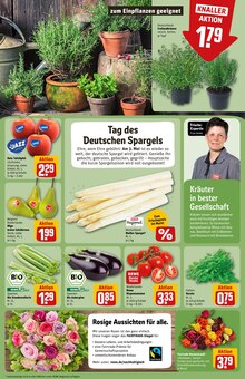 Tomaten im REWE Prospekt "Dein Markt" mit 38 Seiten (Kiel)