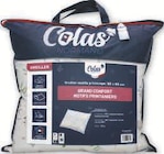 Oreiller "Printemps" 60x60cm moelleux - COLAS NORMAND - Hyper U à Saintes Oreiller "Printemps" 60x60cm moelleux - COLAS NORMAND en promo chez Hyper U Saintes à 9,03 €