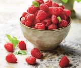 U Express Autun - Promo Framboise Promo Framboise à 2,00 € dans le catalogue U Express à Autun