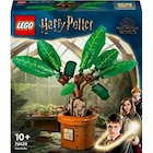 LEGO® Harry Potter™ 76433 Mandragore dans le catalogue Fnac