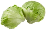 Eisbergsalat Angebote von REWE Bio bei REWE Koblenz für 1,49 €
