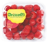 Himbeeren von Driscoll's im aktuellen Netto mit dem Scottie Prospekt