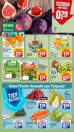 Obst Angebot im aktuellen REWE Prospekt auf Seite 10