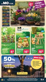 Gartendeko im Netto mit dem Scottie Prospekt in Bautzen Aktueller Netto mit dem Scottie Prospekt mit Gartendeko, "Günstig. Besser. Für Dich.", Seite 18