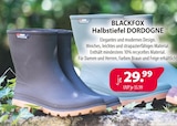 Halbstiefel DORDOGNE von BLACKFOX im aktuellen Kiebitzmarkt Prospekt für 29,99 €