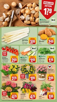 Pflanzen im REWE Prospekt "Dein Markt" mit 24 Seiten (Chemnitz)