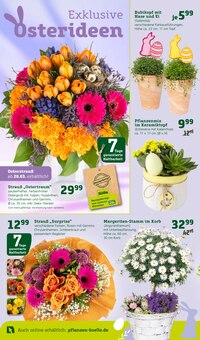 Blumenstrauß im Pflanzen Kölle Prospekt "Ostern steht vor der Tür!" mit 18 Seiten (Hamburg)