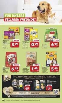 Katzenstreu im combi Prospekt "Markt - Angebote" mit 31 Seiten (Bielefeld)