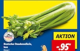 Deutscher Staudensellerie im aktuellen Lidl Prospekt