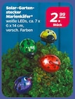 Solar-Gartenstecker Marienkäfer Angebote bei Netto mit dem Scottie Wismar für 2,99 €
