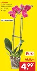 Angebot im Netto Marken-Discount Krombach Prospekt Netto Marken-Discount Krombach Prospekt mit im Angebot für 4,99 €