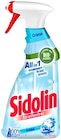 Glasreiniger von Sidolin im aktuellen REWE Prospekt