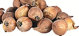 Blumen-Zwiebeln Angebote bei Wreesmann Cottbus für 1,29 €