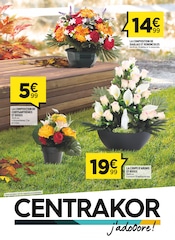 Chrysanthèmes Angebote im Prospekt "TOUSSAINT" von Centrakor auf Seite 1