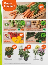 Pflanzen Angebot im aktuellen tegut Prospekt auf Seite 4