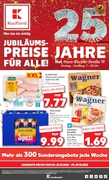 Supermarkt Prospekt von Kaufland Regnitzlosau Kaufland Prospekt: "Aktuelle Angebote", 69 Seiten, 23.10.2025 - 29.10.2025