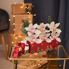 Orchidée 6 fleurons train - CARREFOUR en promo chez Carrefour Rueil-Malmaison à 19,99 €