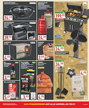 Aktueller Marktkauf Prospekt mit Grillkohle, "Aktuelle Angebote", Seite 31