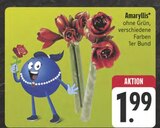 Amaryllis Angebote bei EDEKA Weiden für 1,99 €