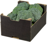 Broccoli im METRO Prospekt Broccoli von im aktuellen METRO Prospekt für 1,44 €
