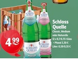 Schloss Quelle Angebote bei Getränke Hoffmann Remscheid für 4,99 €