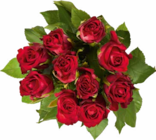 Netto Marken-Discount Weilerbach - Edelrosen Angebot im Prospekt Edelrosen bei Netto Marken-Discount im Weilerbach Prospekt für 2,99 €