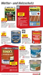 toom Baumarkt Bauer im Prospekt 