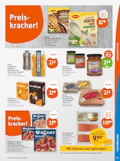 Aktueller tegut Prospekt mit Maggi, "tegut… gute Lebensmittel", Seite 13