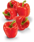 Paprika rot im Angebot bei Netto Marken-Discount in Freital Paprika rot Angebote bei Netto Marken-Discount Freital für 1,35 €