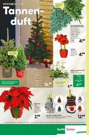 Tannenbaum im BayWa Bau- und Gartenmärkte Prospekt in Schorndorf Aktueller BayWa Bau- und Gartenmärkte Prospekt mit Tannenbaum, "Hier bin ich gern", Seite 8